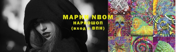 дживик Верхний Тагил