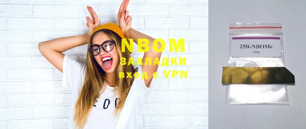 дживик Верхний Тагил