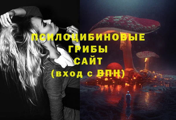гашик Верхнеуральск