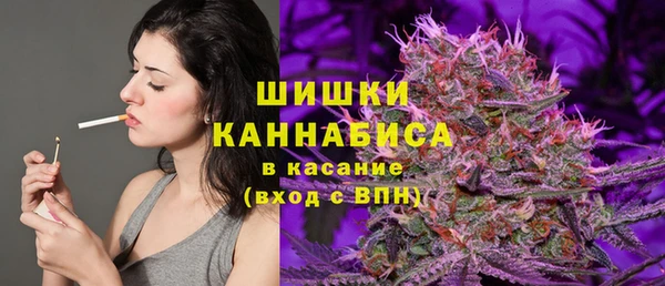 дживик Верхний Тагил