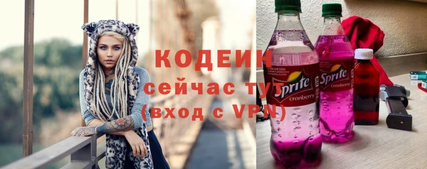 дживик Верхний Тагил