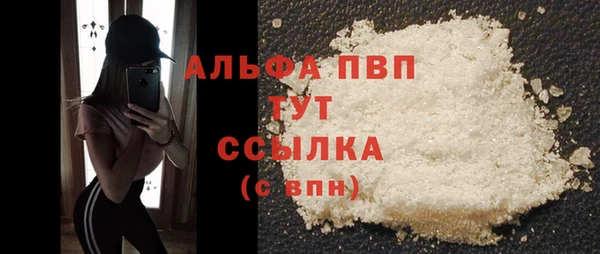 дживик Верхний Тагил