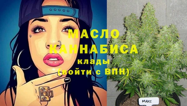 дживик Верхний Тагил